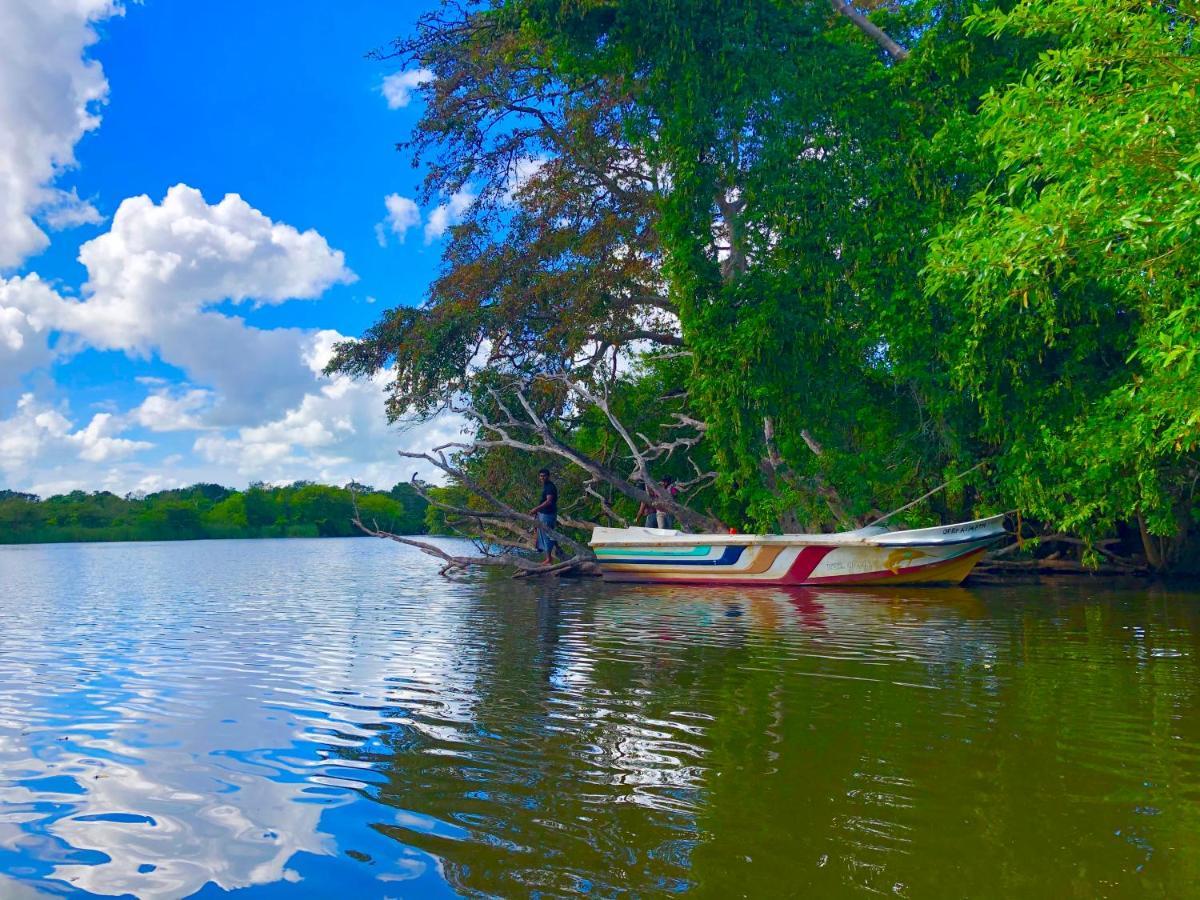 Wilpattu Green Cabin Achchamulai Buitenkant foto