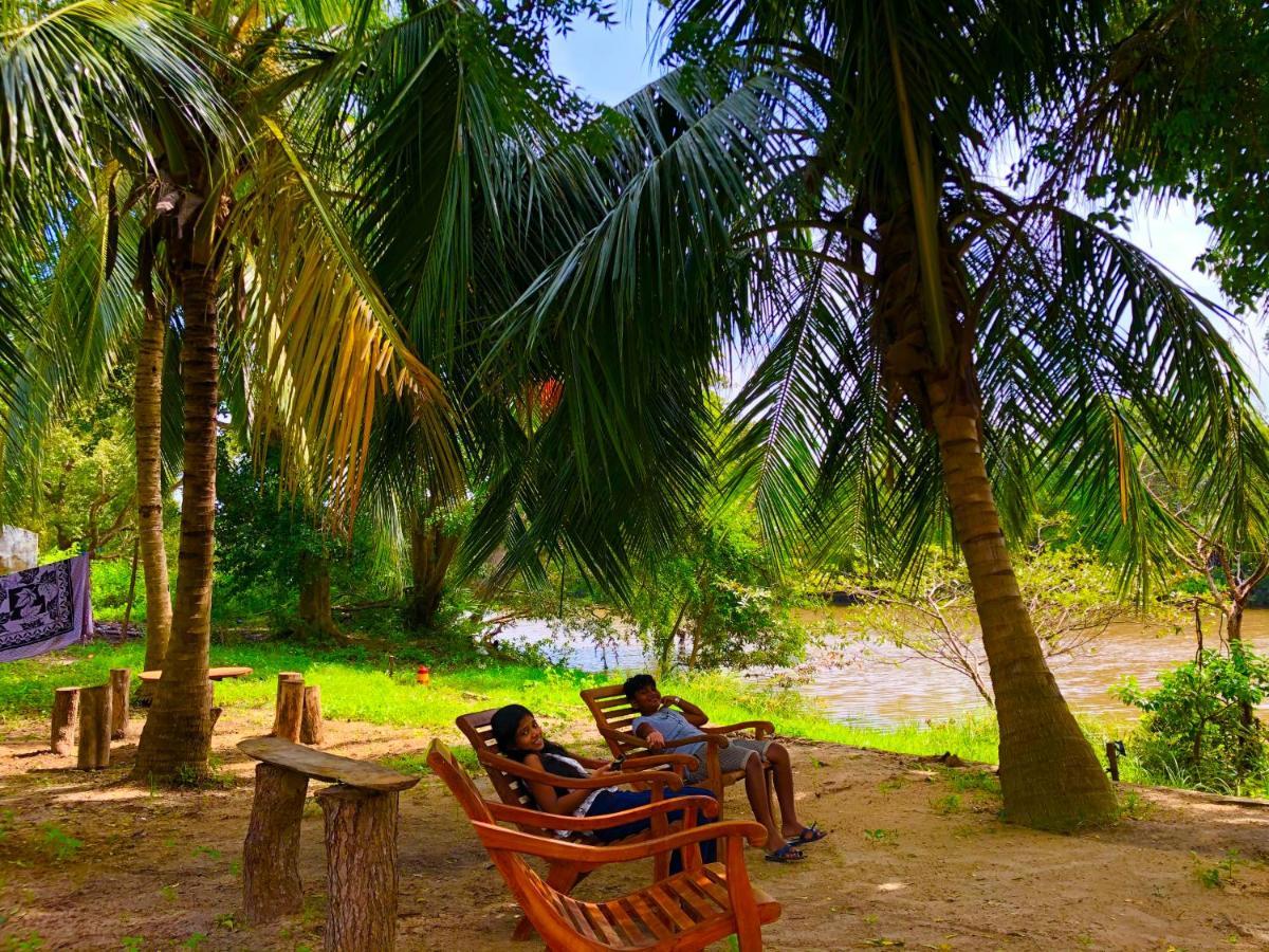 Wilpattu Green Cabin Achchamulai Buitenkant foto