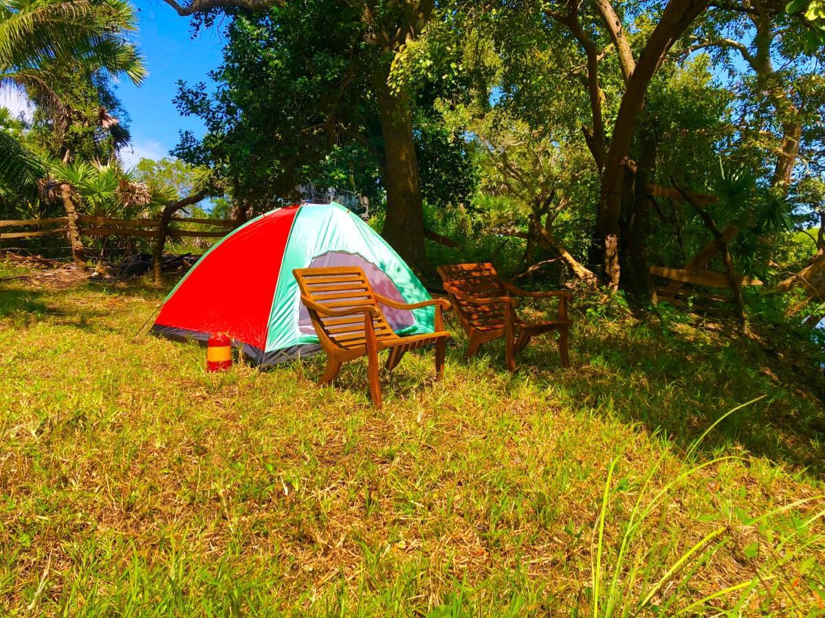Wilpattu Green Cabin Achchamulai Buitenkant foto