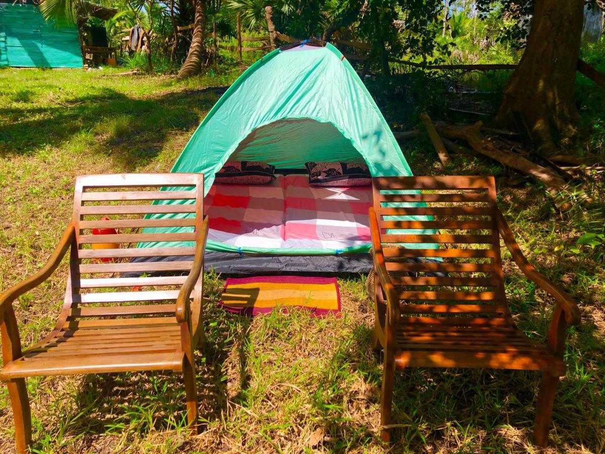 Wilpattu Green Cabin Achchamulai Buitenkant foto