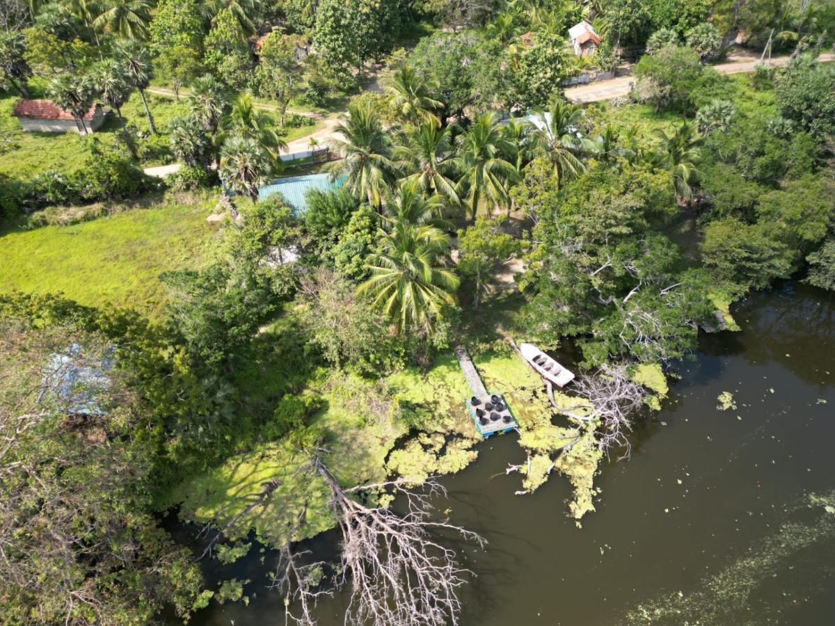 Wilpattu Green Cabin Achchamulai Buitenkant foto