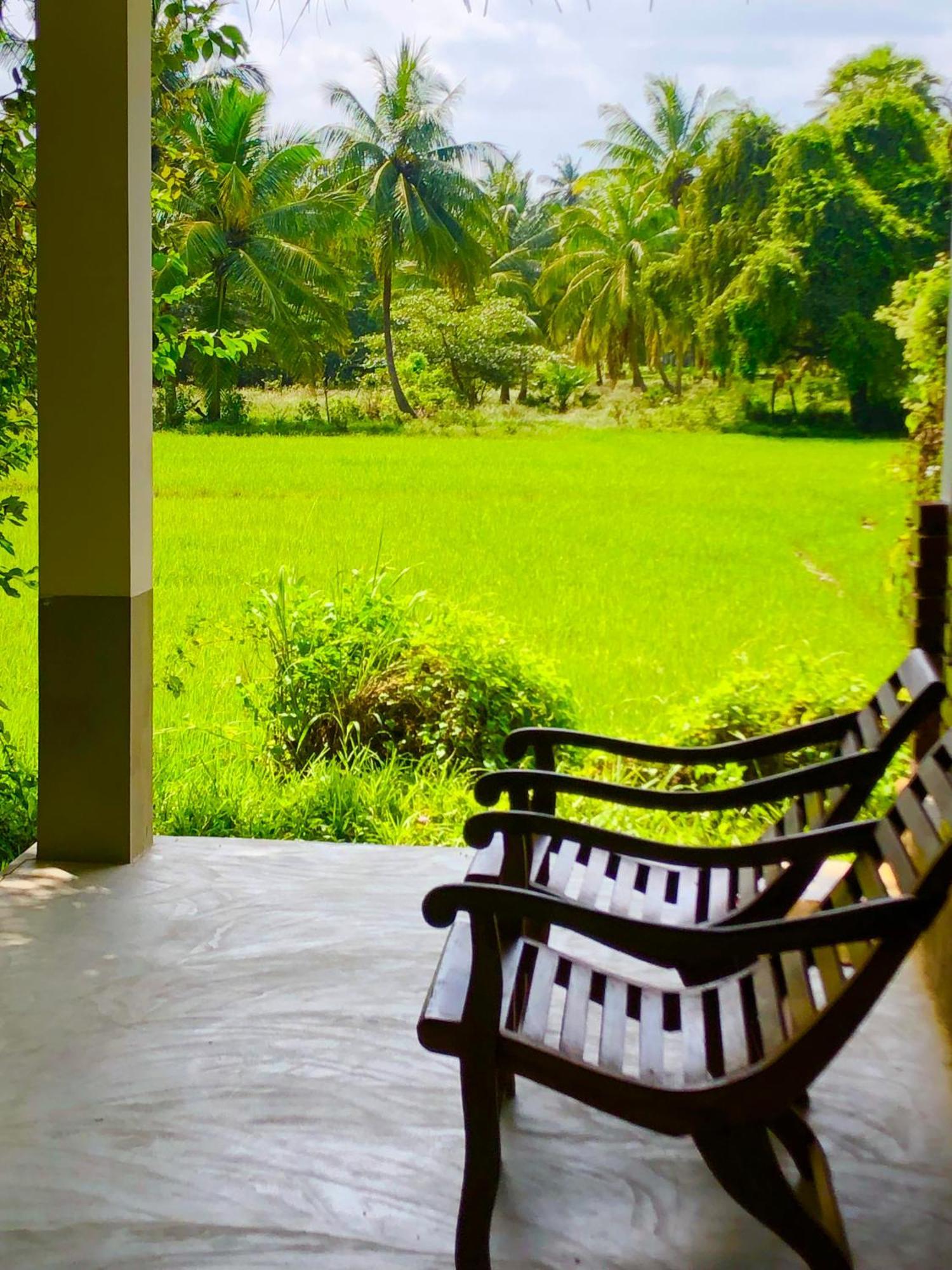 Wilpattu Green Cabin Achchamulai Buitenkant foto