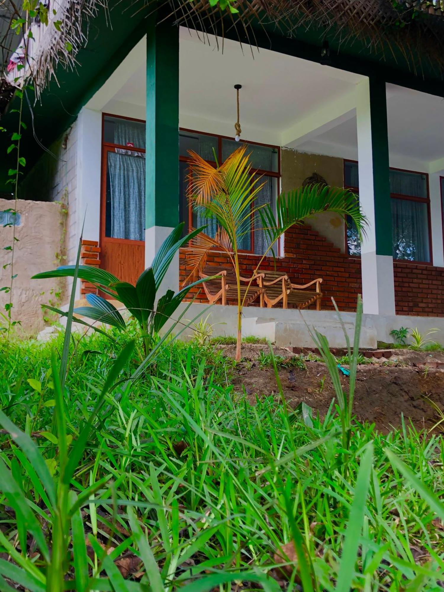 Wilpattu Green Cabin Achchamulai Buitenkant foto