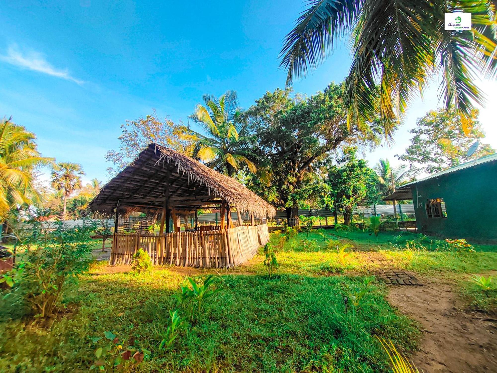 Wilpattu Green Cabin Achchamulai Buitenkant foto
